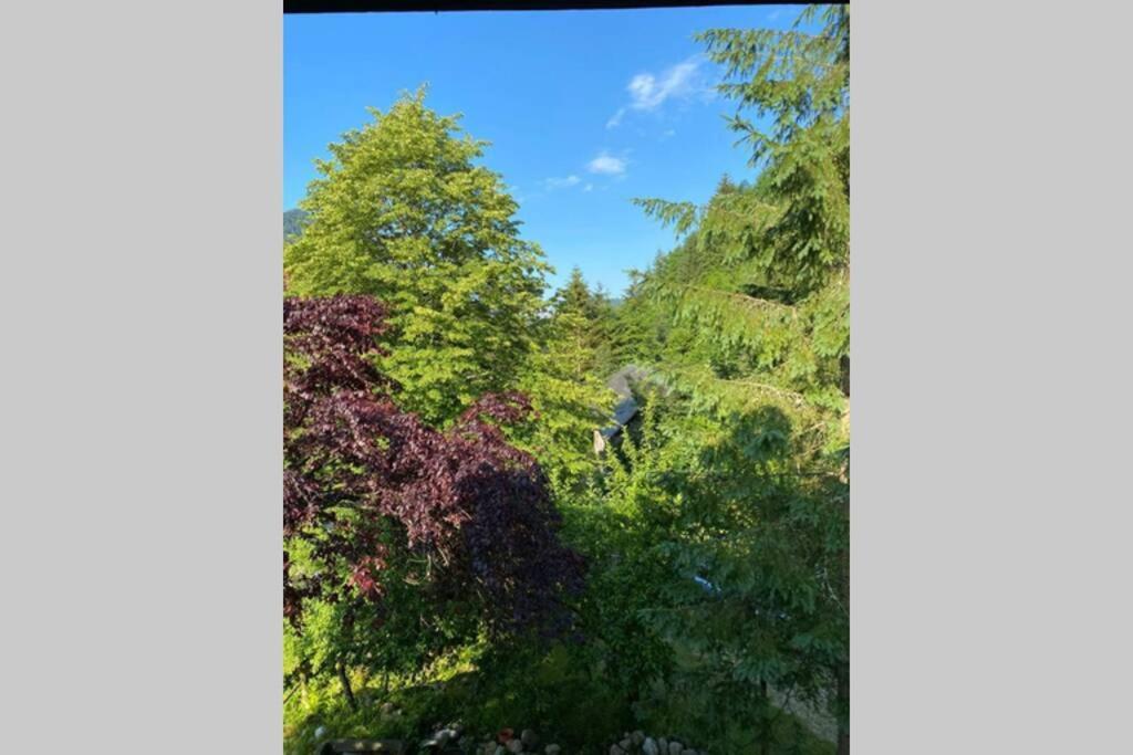 Ferienhaus Blommers Palfau Bagian luar foto